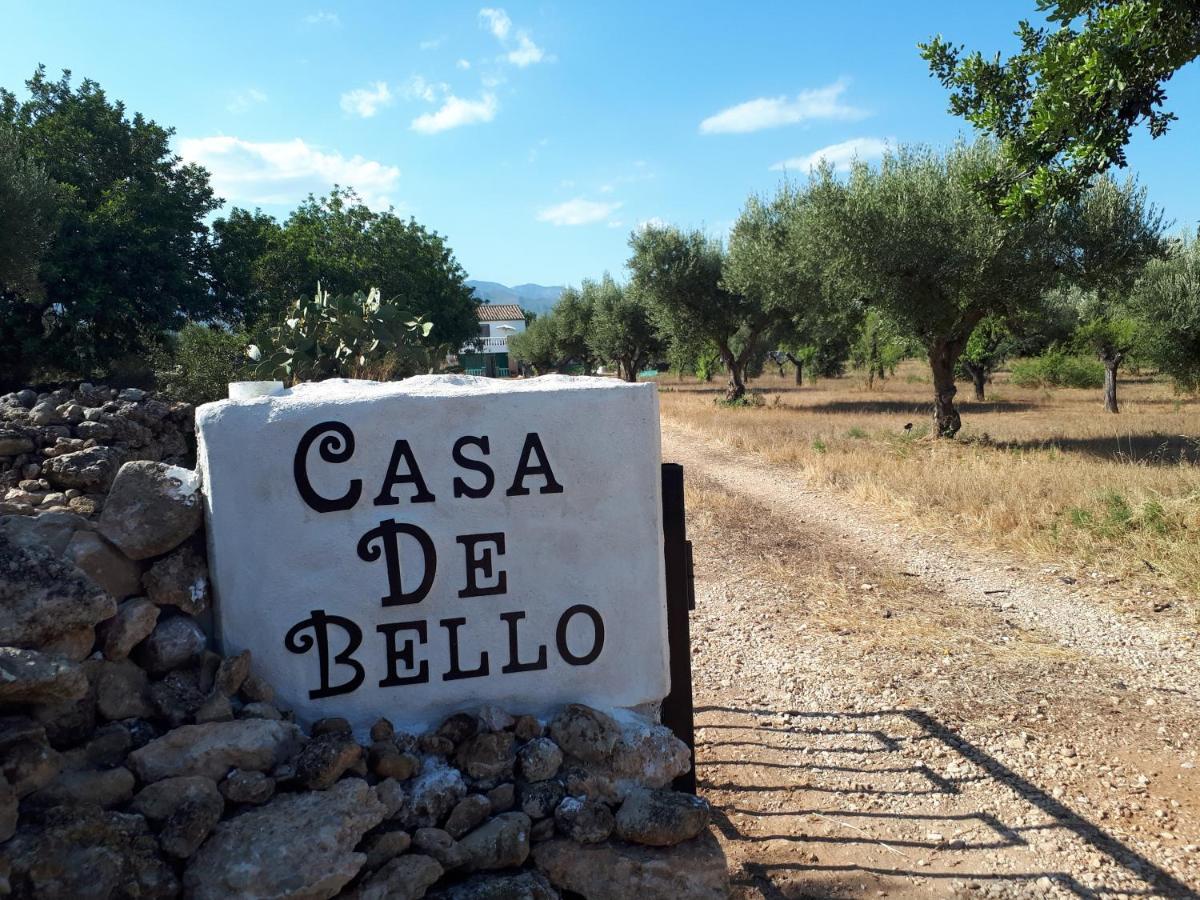 Casa De Bello Тортоса Экстерьер фото